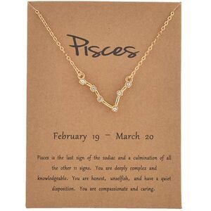 PISCES Constellation Necklace 🌌